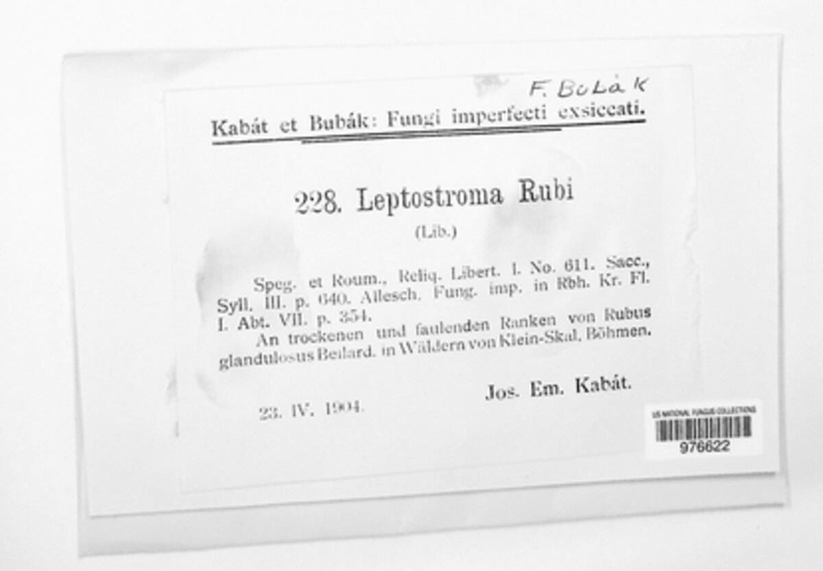 Leptothyrium rubi image